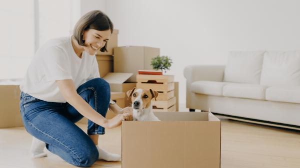 Organizza il trasloco con il tuo cane senza stress